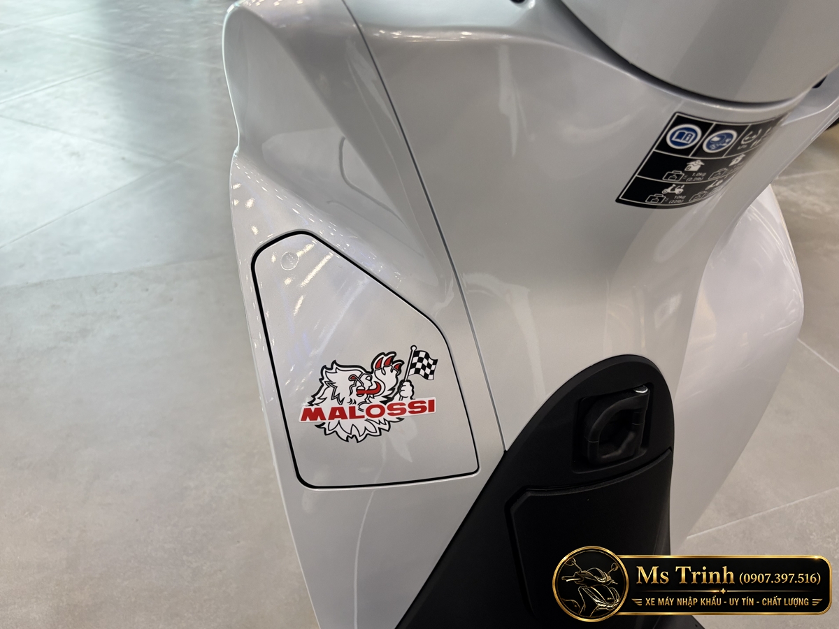 Honda SH150 Ý Malossi 2026 tại Vĩnh Long - Tem custom thể thao, dáng SH thanh lịch
