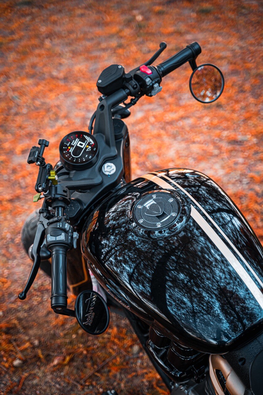 Benda Napoleon 500 Bobber, Phân Phối Chính Hãng, Giá Rẻ Tại Vĩnh Long