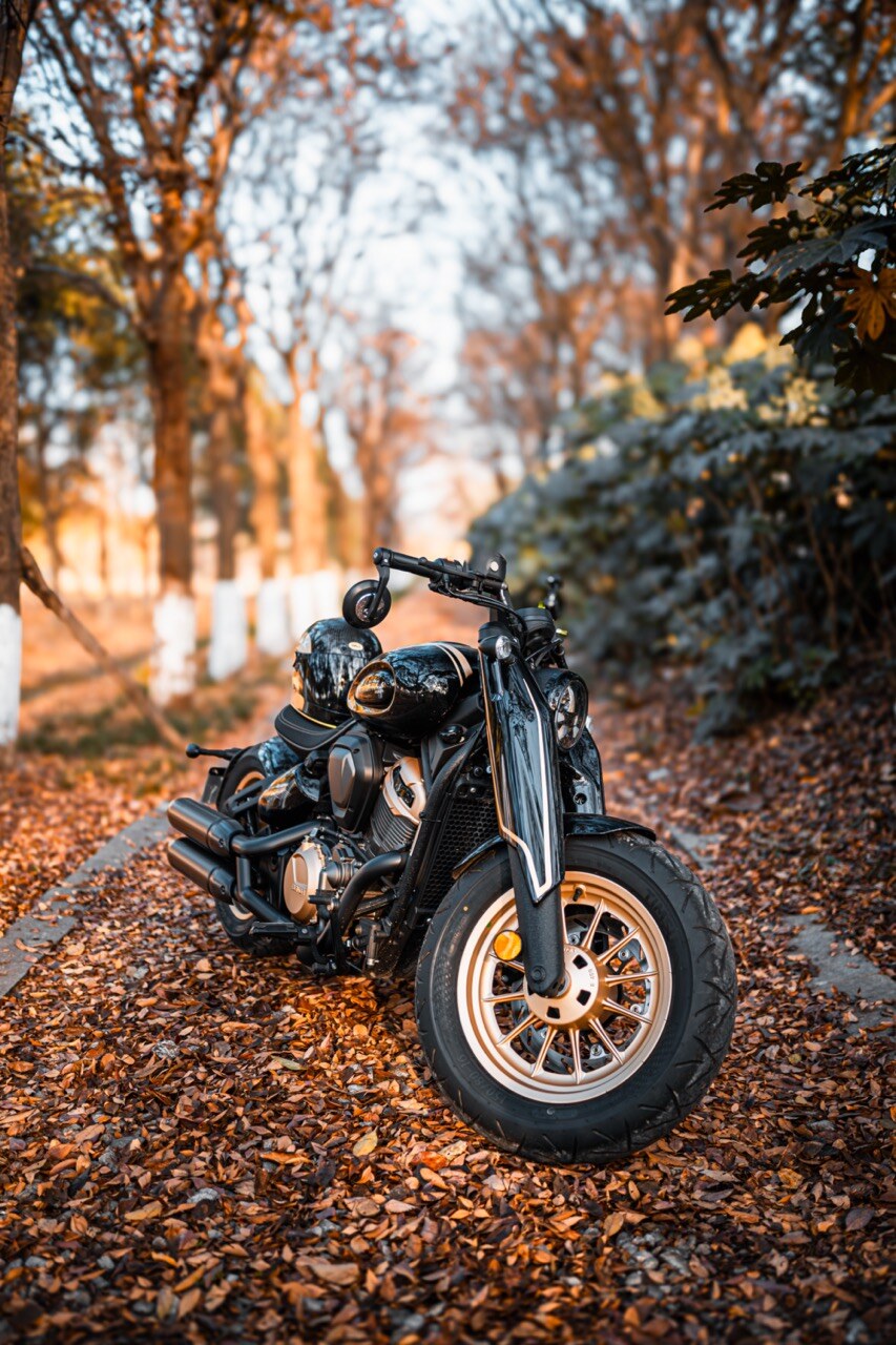 Benda Napoleon 500 Bobber, Phân Phối Chính Hãng, Giá Rẻ Tại Vĩnh Long