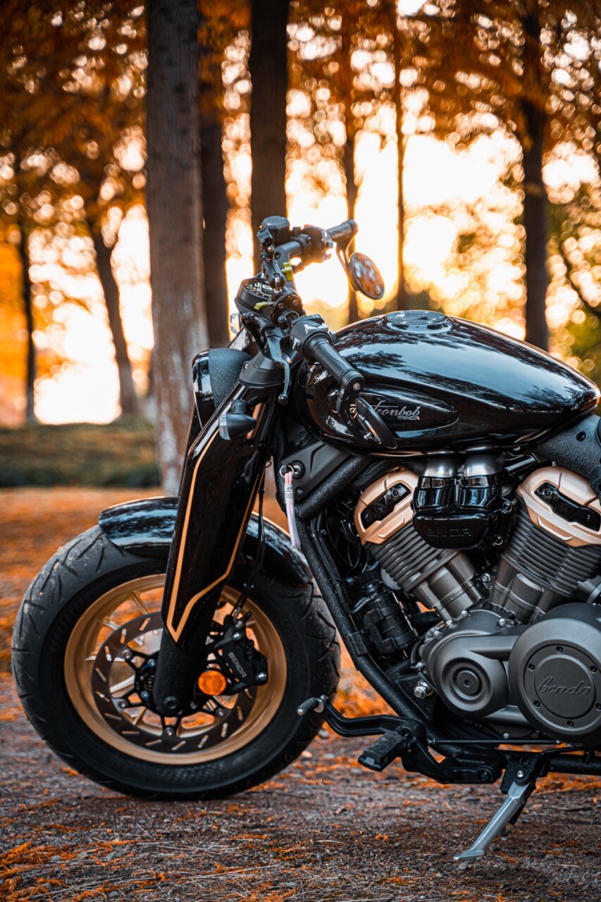 Benda Napoleon 500 Bobber, Phân Phối Chính Hãng, Giá Rẻ Tại Vĩnh Long