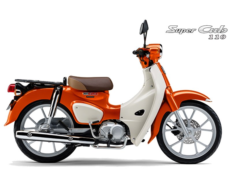 Honda Super Cub 110 ABS, Made In Japan, NK Chính Hãng, Hiếm tại Vĩnh Long