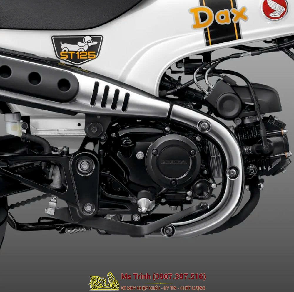 Honda Dax ST125 2026 tại Vĩnh Long - Minibike huyền thoại khung T-Bone đầy cá tính