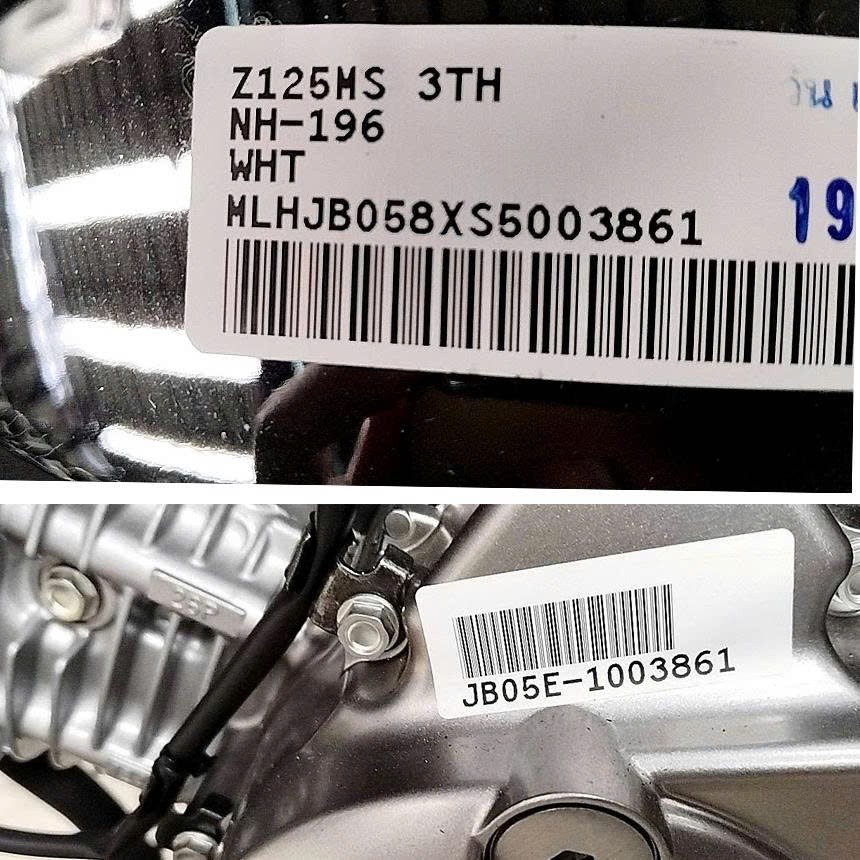 Honda Monkey Chrome Edition 2025 tại Vĩnh Long