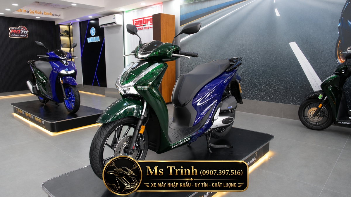 Honda SH150i Vetro Green - Sapphire tại Vĩnh Long: SH Ý Limited 200 xe