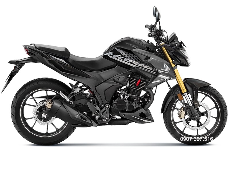 Honda Hornet 2.0 tại Vĩnh Long,