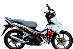 Honda Dash 125 2026 HRC 2026 tại Vĩnh Long - Xe số thể thao mạnh, mượt, giá hợp lý